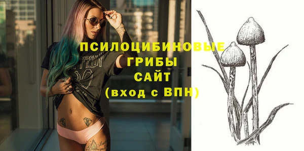 прущие крисы Ладушкин