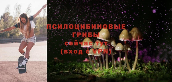 a pvp Инсар