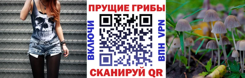 Галлюциногенные грибы Cubensis  Новочеркасск 