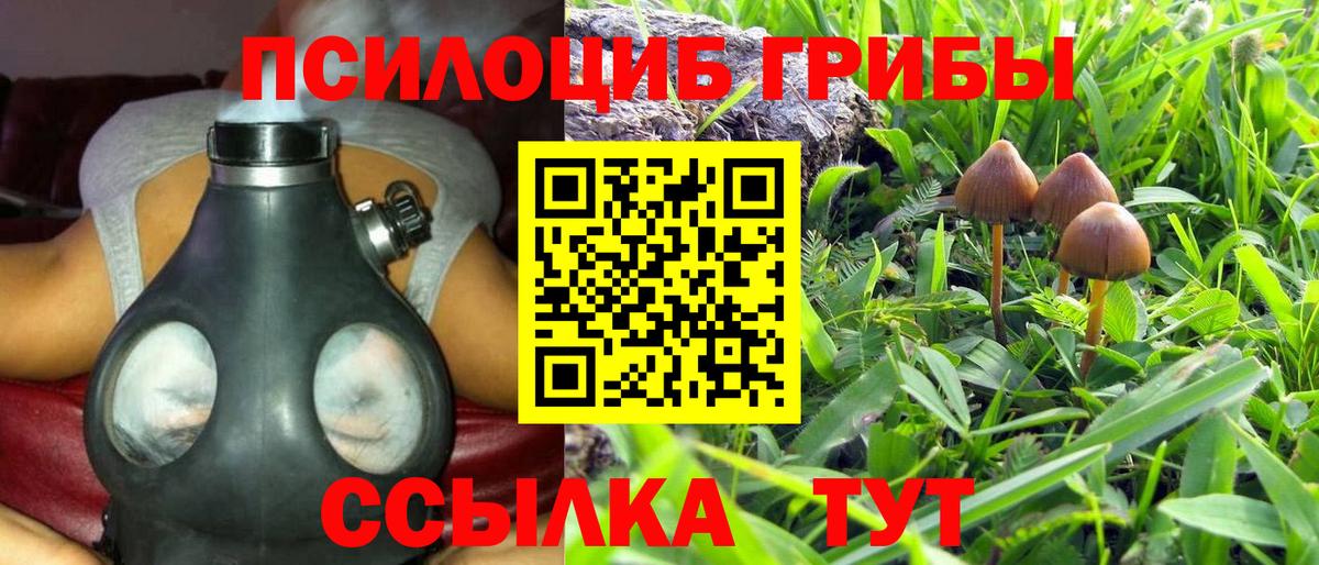 Псилоцибиновые грибы Psilocybine cubensis  Вход с VPN  Галлюциногенные грибы прущие грибы  Новочеркасск 