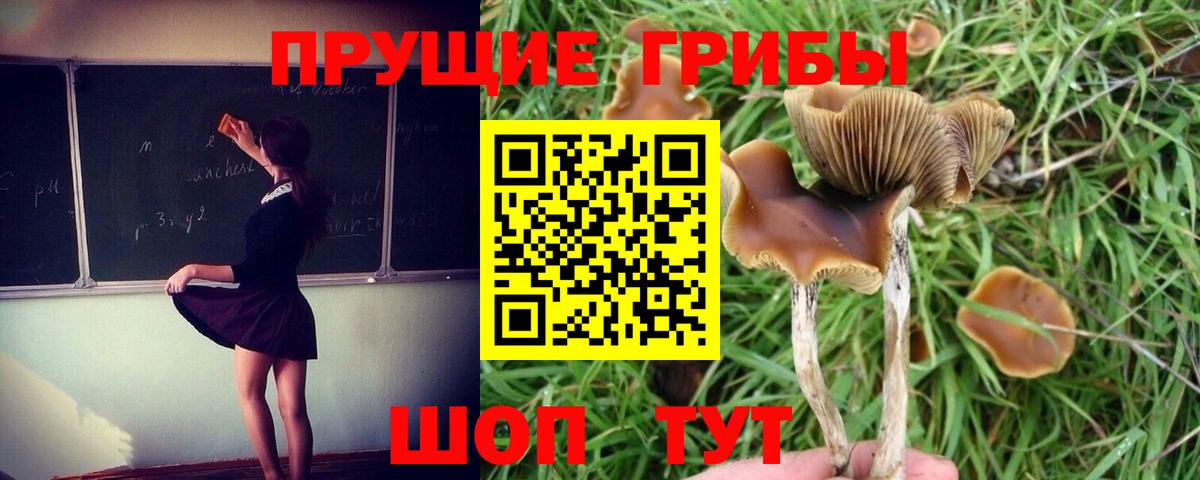 Галлюциногенные грибы MAGIC MUSHROOMS Новочеркасск